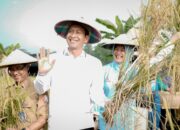 Membangun Ketahanan Pangan, Bojonegoro Sukses dengan Panen Padi Organik