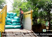 Babinsa Padang Mentoyo Kapas Bojonegoro dampingi Sergab Panen Padi 4 Ton