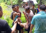 Kapolsek Ranowulu. Berhasil Temukan Korban Tenggelam Di Kolam Aer Hujan