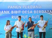 Hari Lingkungan Hidup, Dari Pesisir Nusa Lembongan, PLN Bangun Kemandirian Ekonomi Melalui Rumput Laut