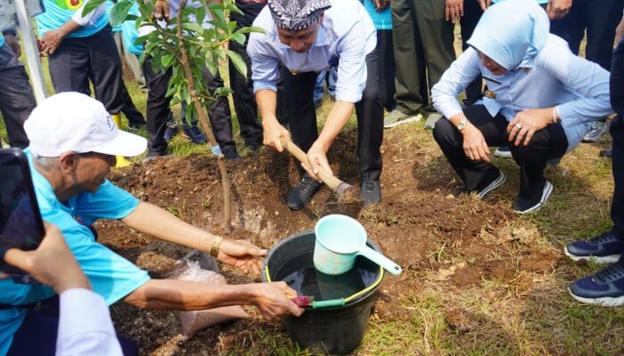 Bupati Bojonegoro Tanam Alpukat, Harapkan Manfaat untuk Masyarakat dan Lingkungan