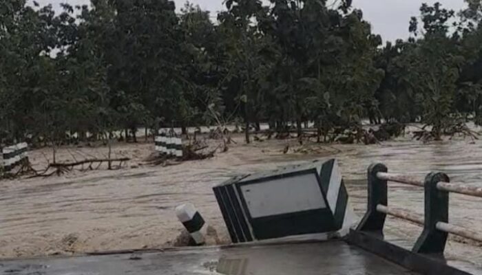 Jembatan Ngrojo Roboh, Warga Desa Pojok dan Bonorejo Terisolasi
