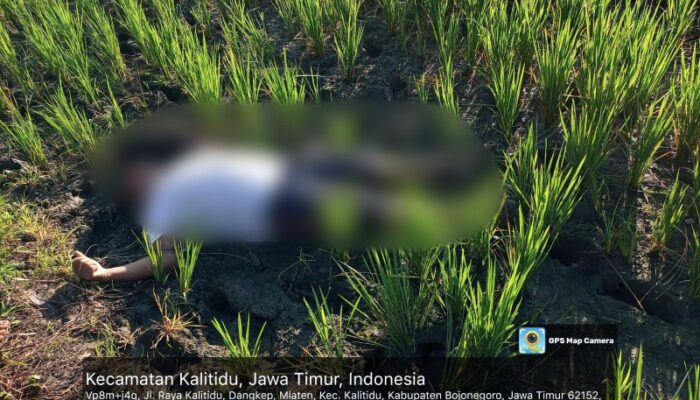 Tragedi di Sawah: Pemuda Bojonegoro Tewas Tersengat Jebakan Tikus Listrik