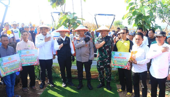 Kasdam Brawijaya Ikuti Panen Raya Jagung Serentak Kuartal 2 di Ngawi