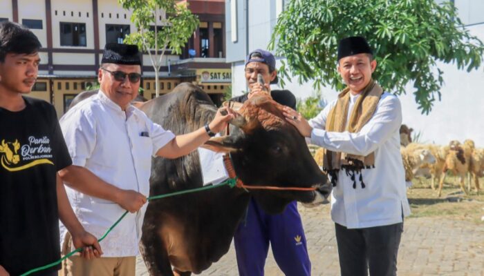 Polres Bojonegoro Salurkan 51 ekor Hewan Kurban Untuk Warga dan Mitra Kepolisian