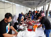 Rayakan Iduladha 1446H, PLN Salurkan Daging Kurban di Berbagai Daerah