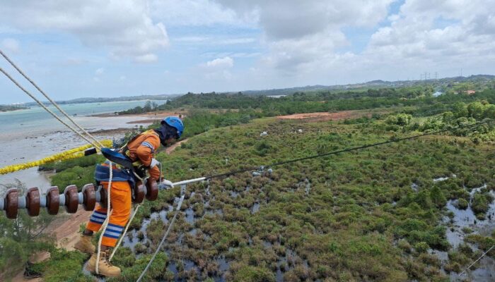 Wujud Kontribusi ke Negara, PLN Setor Rp65,59 Triliun Lewat Dividen, Pajak, dan PNBP, Listrik untuk Rakyat