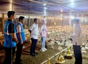 Listrik untuk Rakyat, PLN Dorong Pertumbuhan Konsumsi Listrik hingga 17,78 TWh Sepanjang 2024