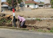 Dorong Ketahanan Pangan Berkelanjutan, PLN UIP JBTB Dukung Pertanian Modern di Boyolali Lewat Program Hidroponik Elektrifikasi “Listrik untuk Rakyat”