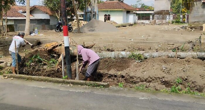 Dorong Ketahanan Pangan Berkelanjutan, PLN UIP JBTB Dukung Pertanian Modern di Boyolali Lewat Program Hidroponik Elektrifikasi “Listrik untuk Rakyat”