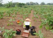 PLN UIP JBTB Dukung Program Irigasi Pertanian Modern di Boyolali Lewat Program Electrifying Agriculture “Listrik untuk Rakyat” Hadirkan Pompa Irigasi Listrik di Desa Ngampon
