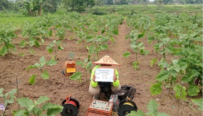PLN UIP JBTB Dukung Program Irigasi Pertanian Modern di Boyolali Lewat Program Electrifying Agriculture “Listrik untuk Rakyat” Hadirkan Pompa Irigasi Listrik di Desa Ngampon