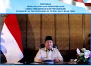 Bukti PLN untuk Rakyat, 47 PLTS Diresmikan Presiden, 5.383 Rumah Tangga di Wilayah 3T Kini Nikmati Listrik Bersih