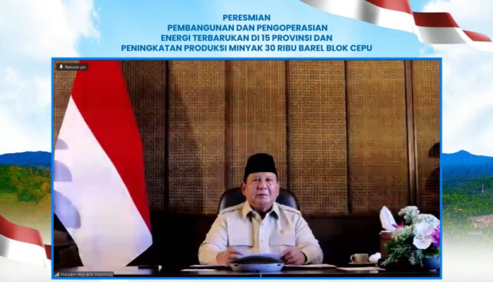 Bukti PLN untuk Rakyat, 47 PLTS Diresmikan Presiden, 5.383 Rumah Tangga di Wilayah 3T Kini Nikmati Listrik Bersih