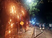 Kebakaran Kabel Telkom dan WiFi di Desa Talun Bojonegoro, Diduga Akibat Pembakaran Sampah