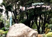 Revitalisasi Alun-Alun Bojonegoro: Bupati Wahono Ingin Ruang Publik yang Nyaman dan Ramah