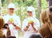 Kemandirian Pangan: Pemkab Bojonegoro Gelar Penanaman Pepaya California