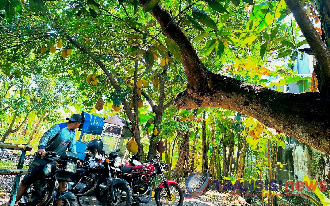 20250724 103856 0000 copy 1146x715