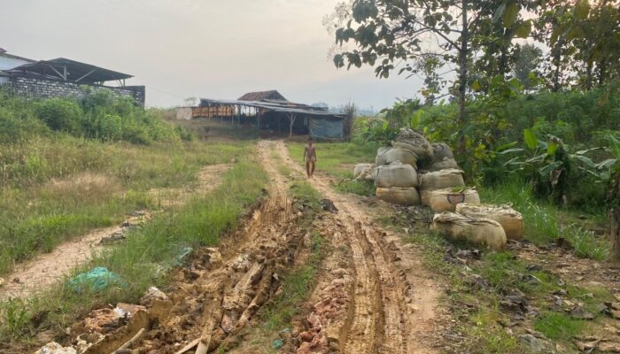 Pengolahan Clay Ilegal di Tanggulangin Tuban Meskipun Pernah Tutup, Kini Aktivitas Kembali, APH di Minta Segera Bertindak 