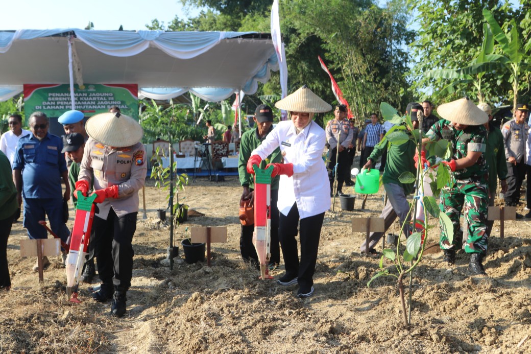 Img 20250710 wa0081 copy 1040x693