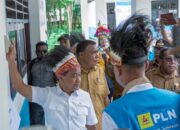 Semarak Kemerdekaan, Program Lisdes Kementerian ESDM Percepat Pemerataan Akses Listrik PLN di Papua