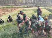 Satgas TMMD 125 Bojonegoro, bantu Panen Bawang Merah: Pendapatan Meningkat, Petani Soko Tersenyum
