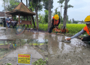 BKK Pemkab Bojonegoro Berguna, Jalan Rigid Beton di Sambongrejo Mulai Dibangun
