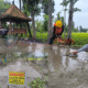 Desaintanpajudul 20250930 152530 0000 copy 593x445