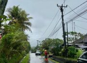 Momen Hari Pelanggan Nasional, PLN Pulihkan Listrik Pascabencana, Warga Bali Kembali Beraktivitas