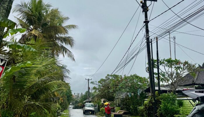 Momen Hari Pelanggan Nasional, PLN Pulihkan Listrik Pascabencana, Warga Bali Kembali Beraktivitas