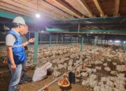 Hari Kesaktian Pancasila, Pemerintah Jaga Tarif Listrik Tetap Terjangkau Sepanjang 2025 untuk Utamakan Daya Beli Masyarakat