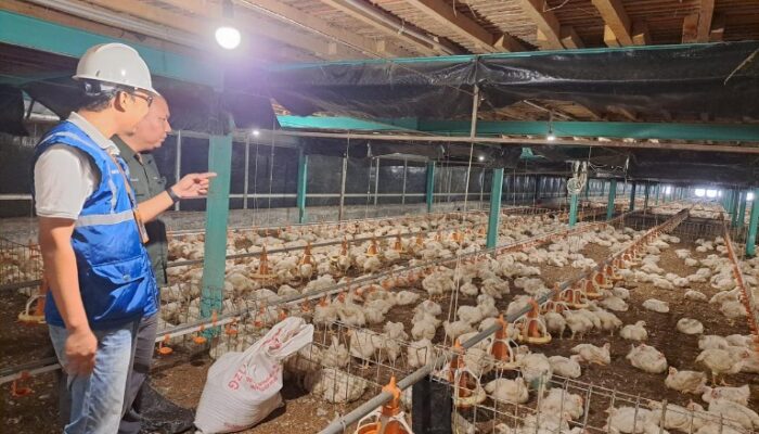 Hari Kesaktian Pancasila, Pemerintah Jaga Tarif Listrik Tetap Terjangkau Sepanjang 2025 untuk Utamakan Daya Beli Masyarakat