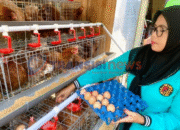 Program GAYATRI di Bojonegoro Membawa Berkah bagi Warga Desa Tikusan