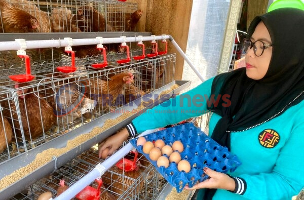 20251008 193750 0000