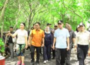 Walikota Bitung Bersama Forkopimda, melaksanakan Penanaman Mangrove di Kawasan Kelurahan Kasawari.