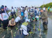 Menyambut Hari Pahlawan, PLN Rehabilitasi Mangrove Lindungi Pesisir Utara Jateng dari Banjir Rob Bersama Warga