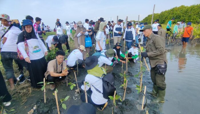 Menyambut Hari Pahlawan, PLN Rehabilitasi Mangrove Lindungi Pesisir Utara Jateng dari Banjir Rob Bersama Warga