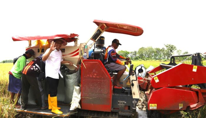 Hadiri Syukuran Panen Raya MT-3 di Sumberrejo, Bupati Wahono Ajak Petani Jaga Kesuburan Tanah