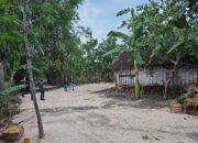 Main Kucing-Kucingan, Mafia Solar Bojonegoro Tutup Lapak Lama Cari Lokasi Baru