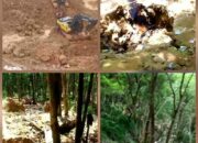 Kebun Raya Rata Totok Rusak Akibat PETI, Bos Tambang Emas,” Kiki, Diduga Kebal Hukum dan Dugaan Dibekap Oleh Pejabat.