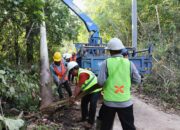 Memaknai Hari Sumpah Pemuda, Pemerintah Targetkan 1.285 Desa Terang di 2025
