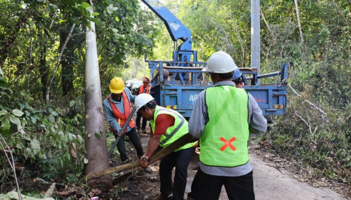 Memaknai Hari Sumpah Pemuda, Pemerintah Targetkan 1.285 Desa Terang di 2025