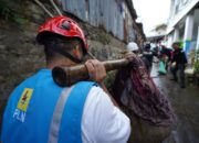 Hari Kesaktian Pancasila, PLN dan KLH Gelar Aksi Bersih DAS Ciliwung, Angkut 176 Kg Sampah dan Tanam 2.500 Pohon