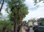 Terus Berkomitmen Wujudkan Layanan Andal, PLN Icon Plus Bersama Pemkot Surabaya Tata Ulang Infrastruktur Digital Kota