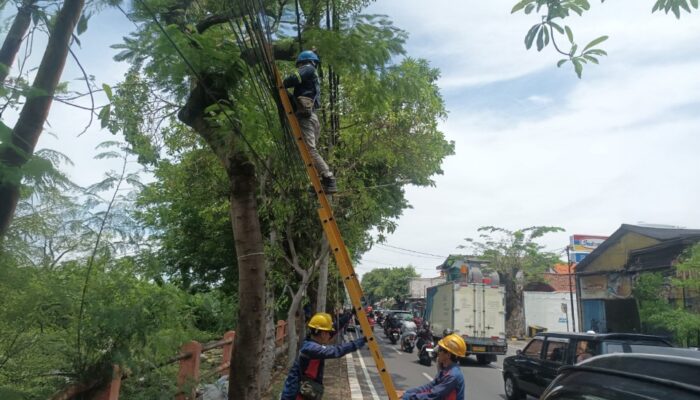 Terus Berkomitmen Wujudkan Layanan Andal, PLN Icon Plus Bersama Pemkot Surabaya Tata Ulang Infrastruktur Digital Kota