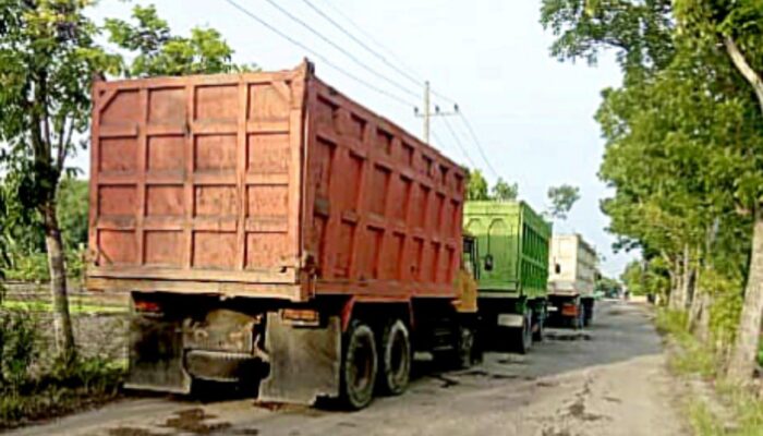Kemamang Terancam, Truk Raksasa Lintasi Jalan Sempit, Pemdes Bungkam