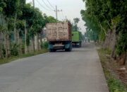 Kontroversi Desa Suwaloh: Kades Prioritaskan Bisnis Pasir, Infrastruktur dan Jalan Desa Terancam Rusak