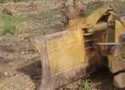 Konflik Lahan Hutan Bojonegoro Memanas: Penggusuran Picu Protes, Peran BPKH Kedewan KPH Cepu Jadi Sorotan!
