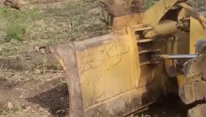 Konflik Lahan Hutan Bojonegoro Memanas: Penggusuran Picu Protes, Peran BPKH Kedewan KPH Cepu Jadi Sorotan!