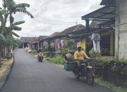 Sentuhan BKKD Rp 1,3 Miliar Ubah Wajah Desa Kesongo Kedungadem, Akses Mulus Angkat Harga Panen dan Putus Rantai Keterisolasian
